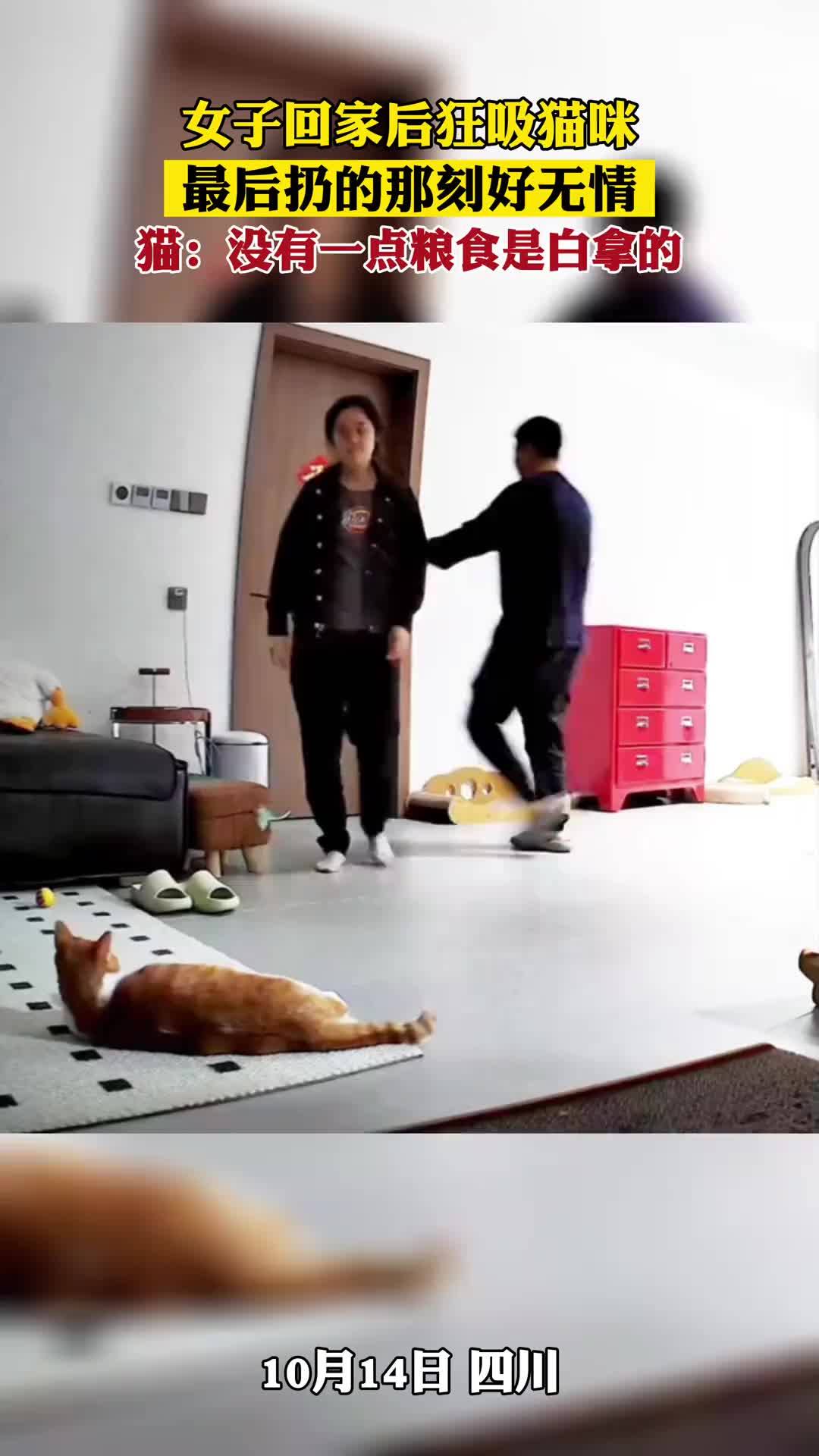 吃你点猫粮代价也太大了