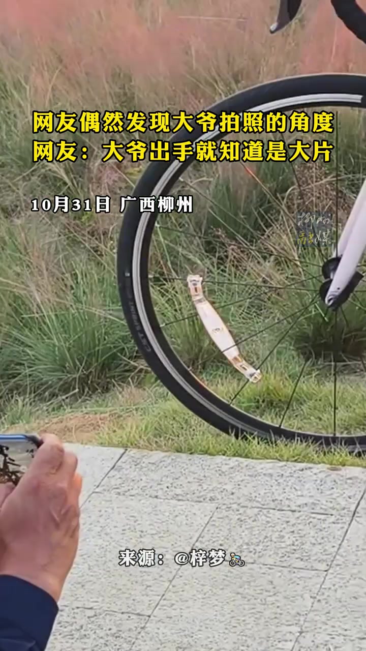 这么会找角度，看得出大爷以前拍照没少练过！