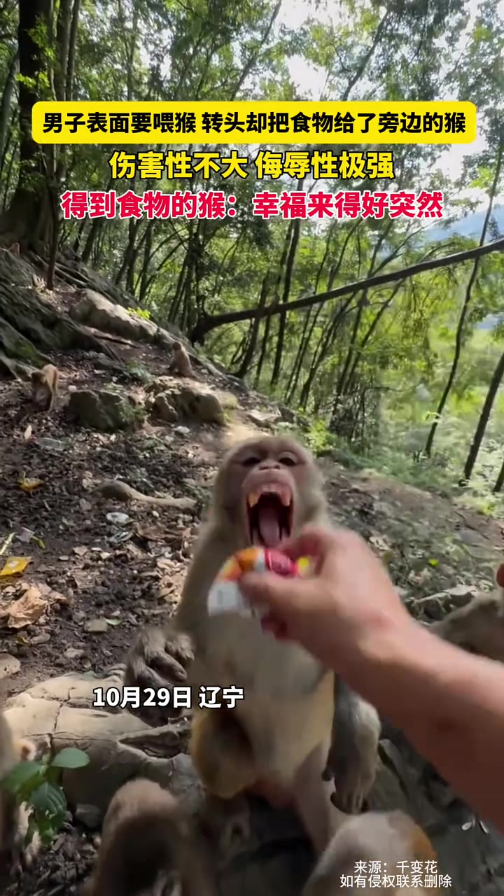 男子表面要喂猴，却把食物给了旁边的猴，伤害性不大，侮辱性极强