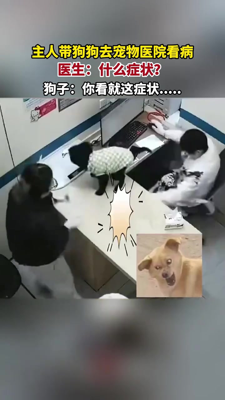 医生：什么症状狗子：你看就这症状...