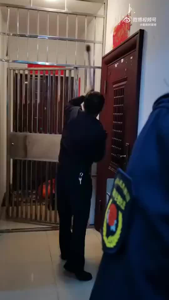 有这样邻居真的是窝心啊