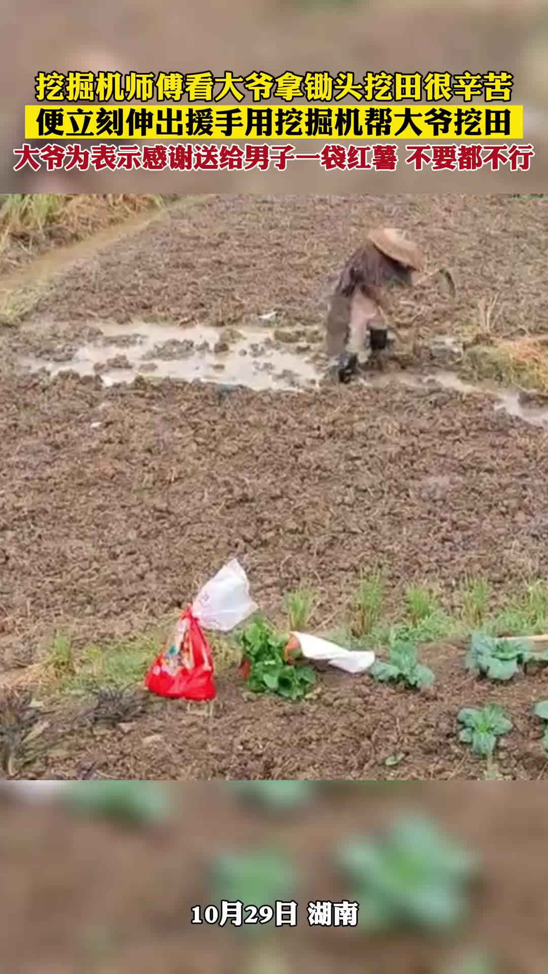 挖掘机师傅路过看大爷拿锄头挖田很辛苦，伸出援手帮大爷挖田