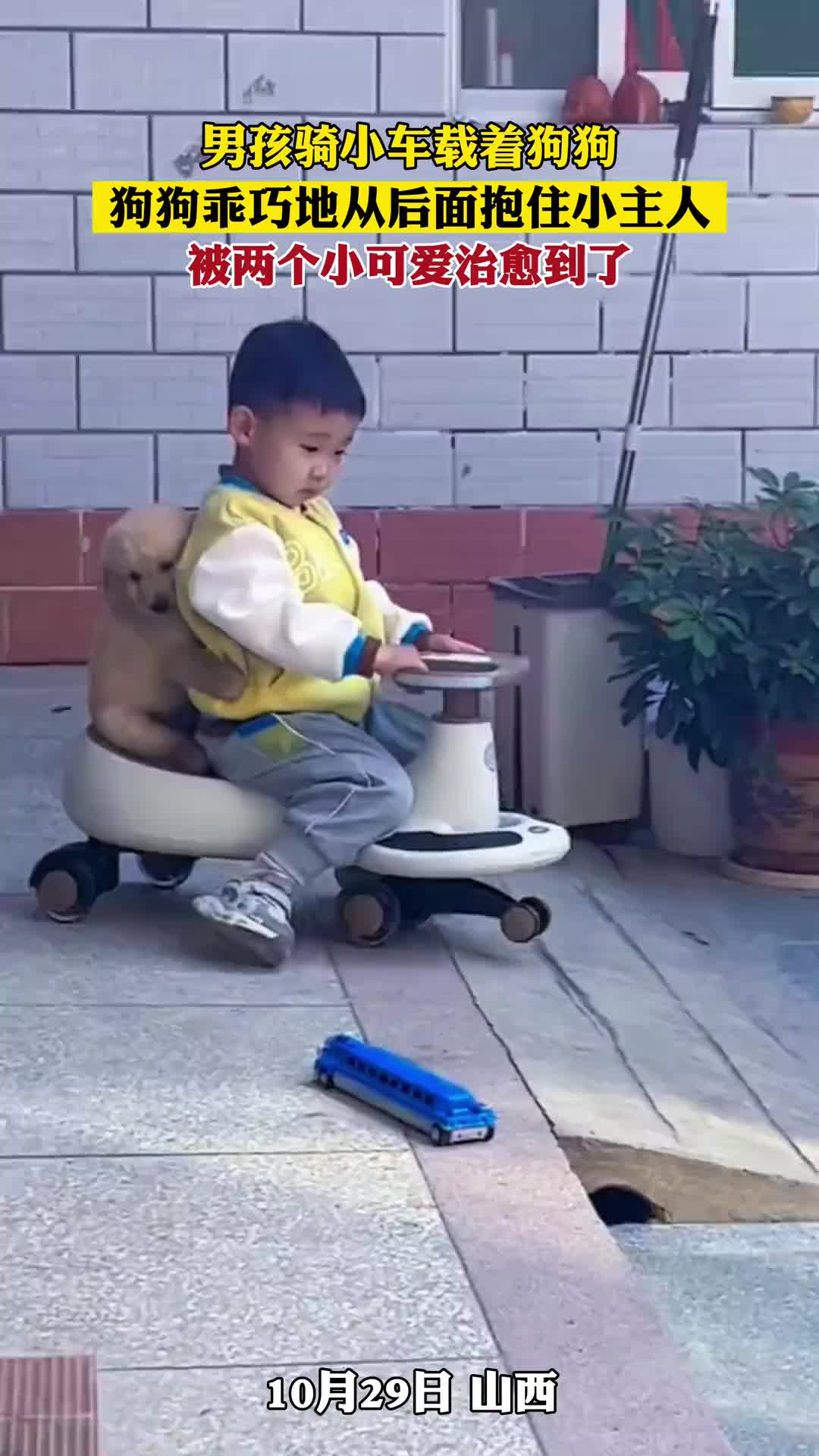 男孩骑小车载着狗狗，可爱狗狗乖巧地从后面抱住小主人