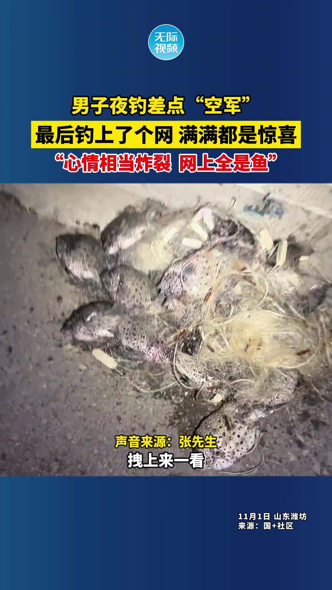 男子夜钓差点“空军”，最后钓上了个网满满都是惊喜