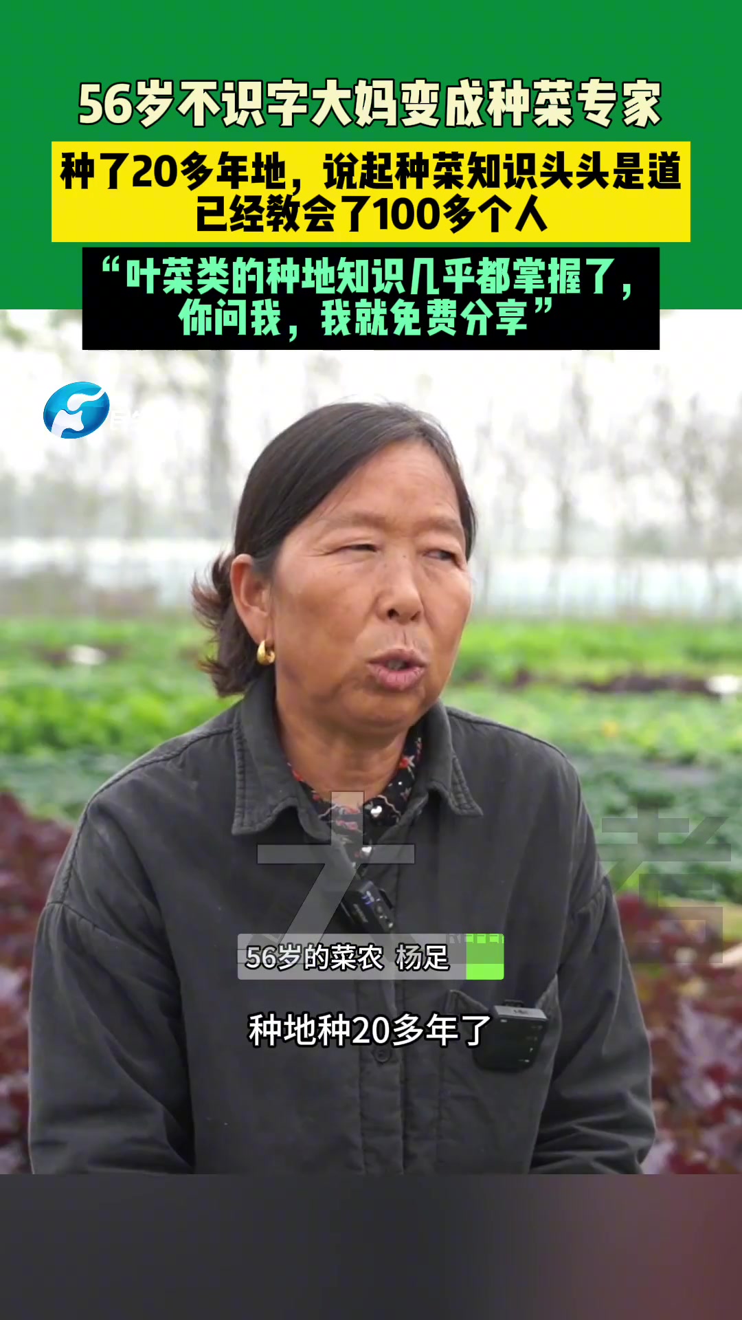 56岁不识字大妈变成种菜专家
