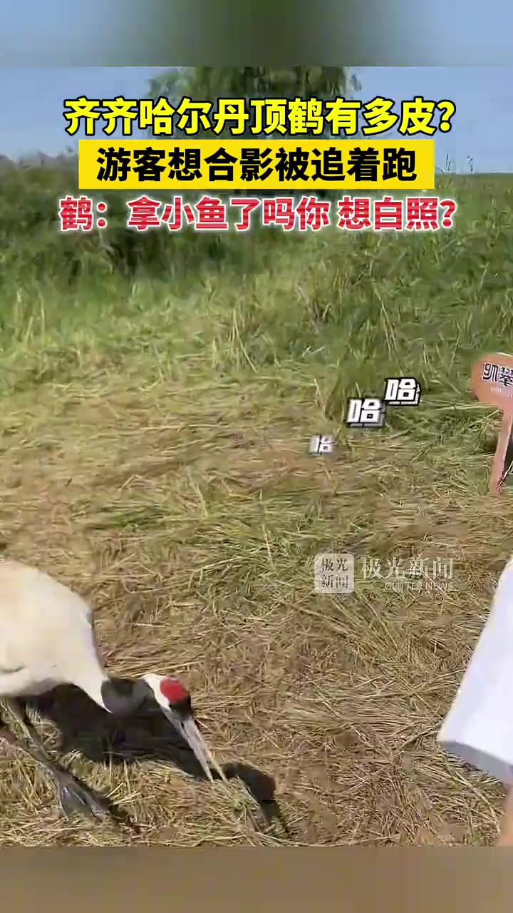 游客想合照被追着跑