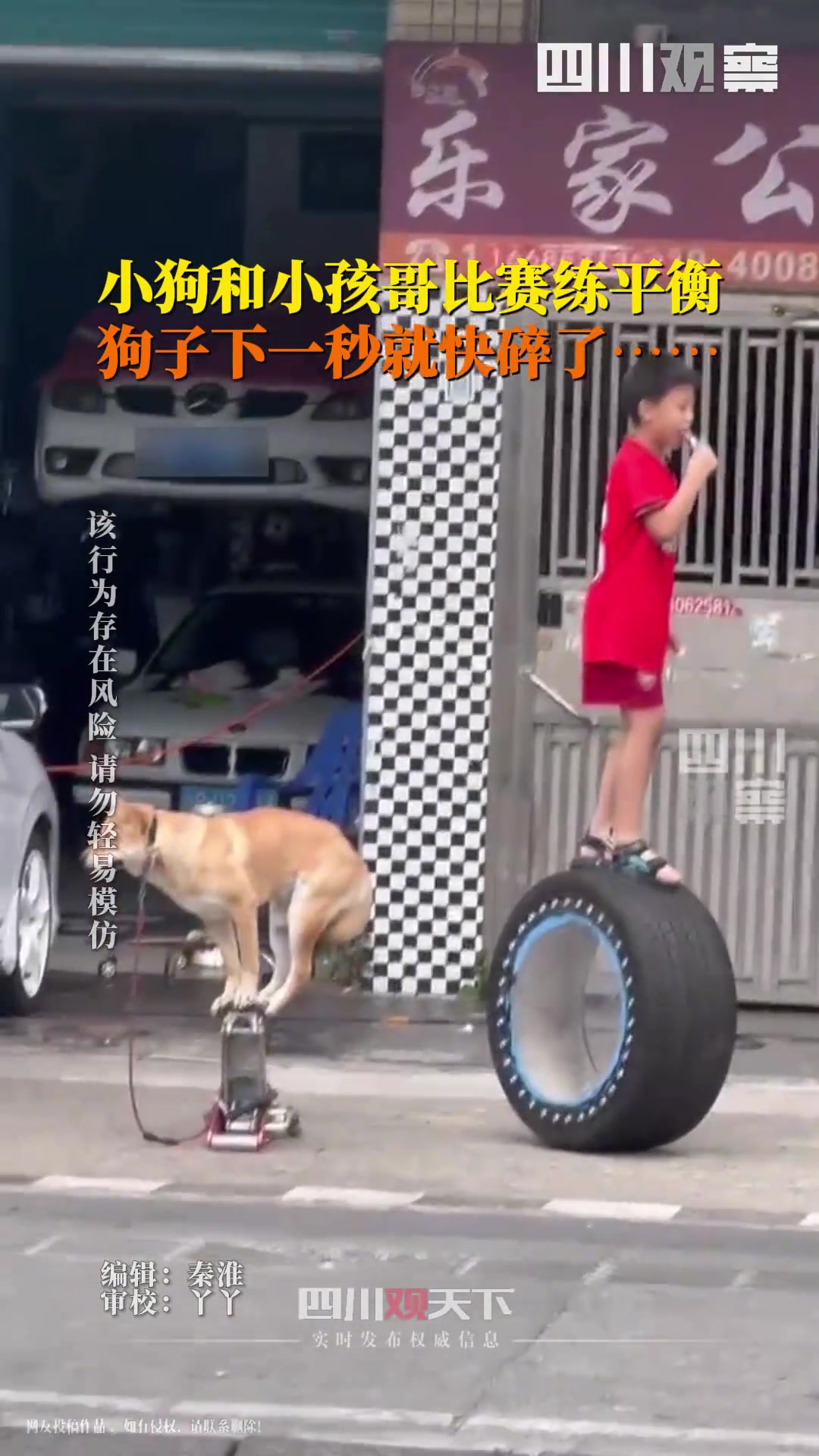小孩哥和狗子比赛，狗子瑟瑟发抖下一秒就快碎了，你们说谁会赢