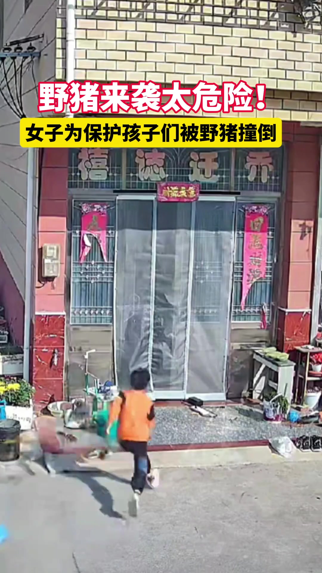 太危险了！女子为保护孩子们被野猪撞倒