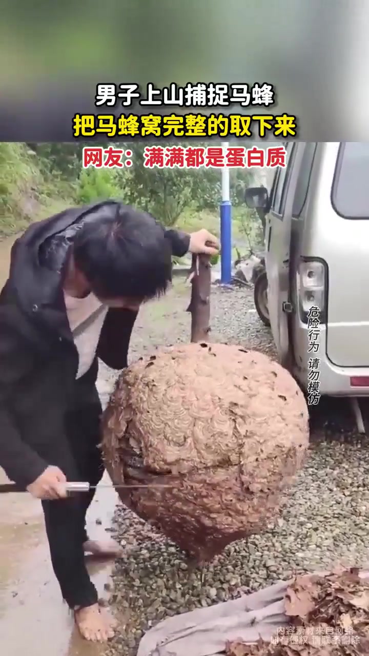 哇塞！！第一次见那么大的一个蜂巢！！