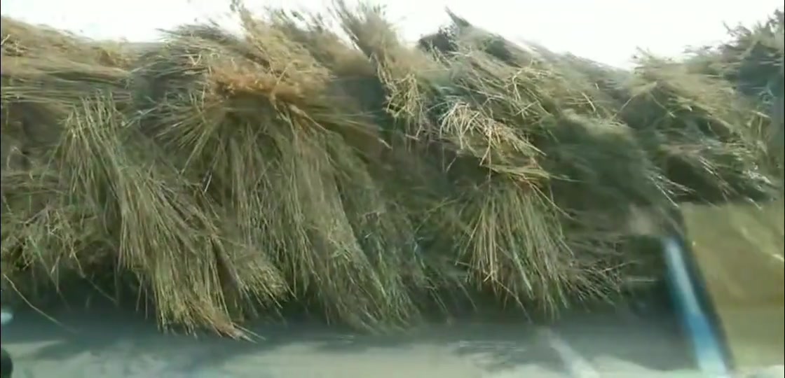 又是一个丰收的季节