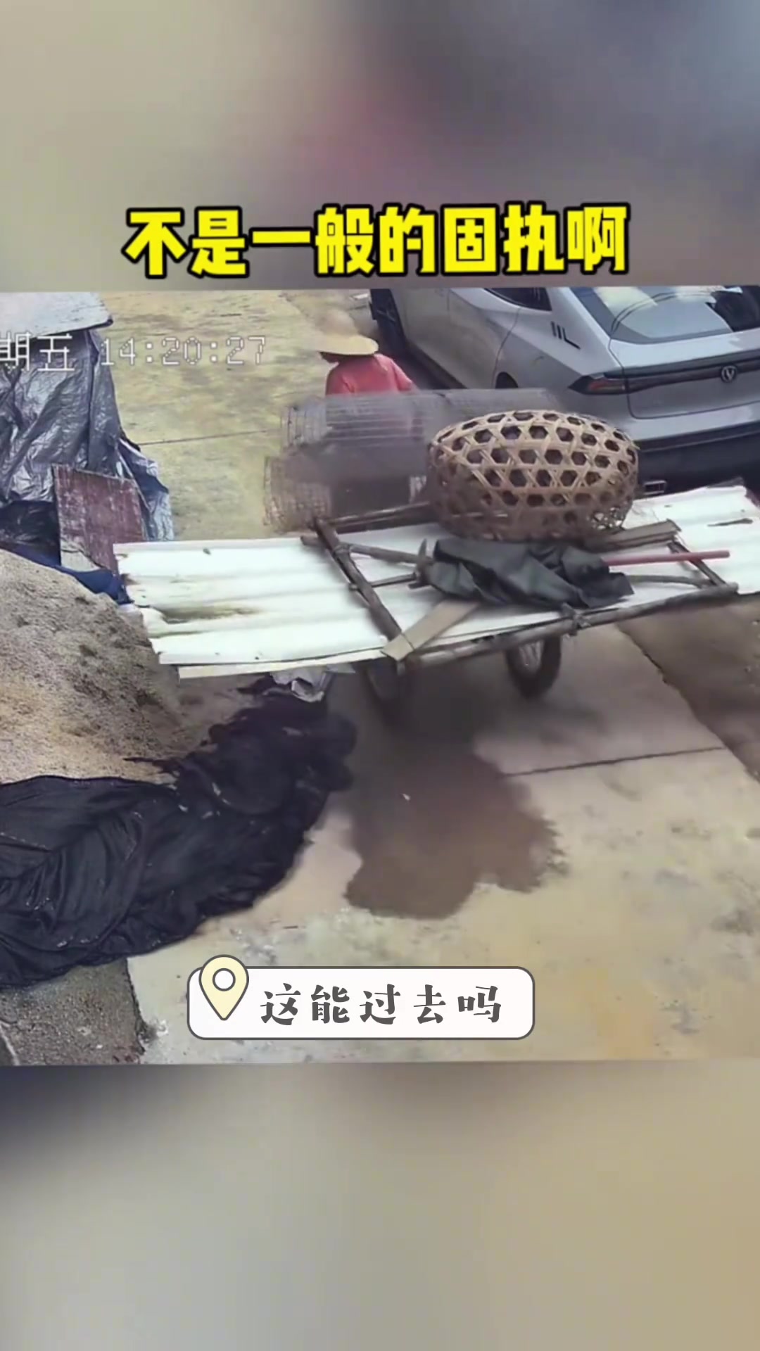 不是一般的固执