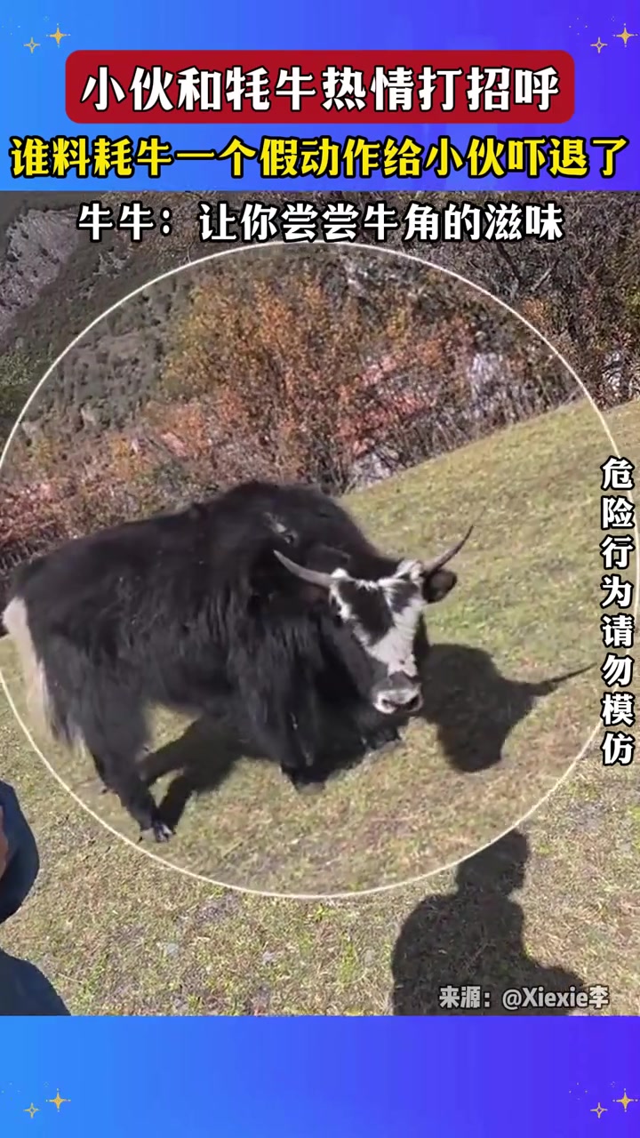 你这是踩着人家的饭菜了吧！！！