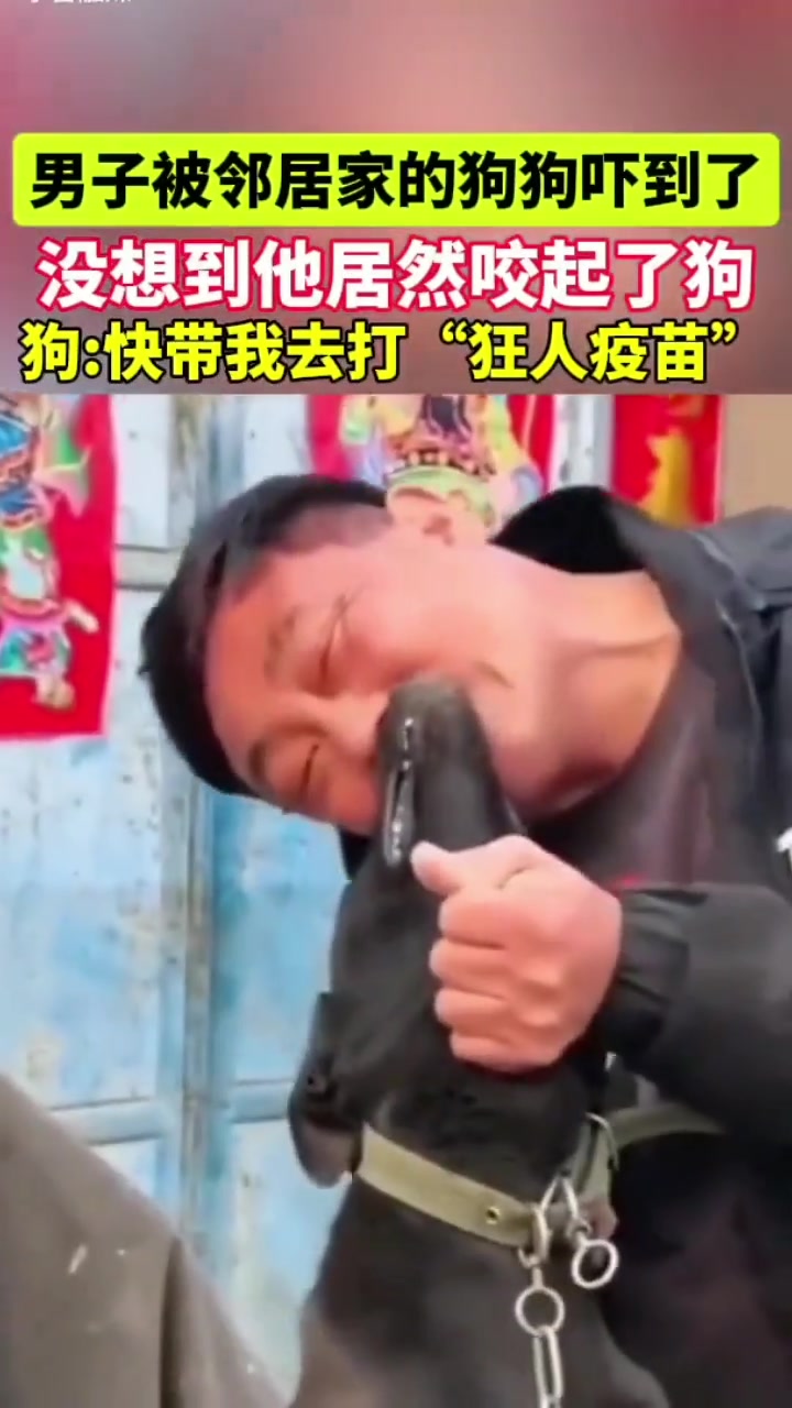 狗说出来你们可能不信今天我被人咬了