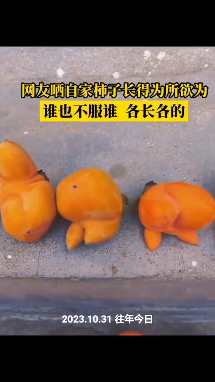 这柿子不能吃，基因突变了，寄给我我来处理了发布账号Bienert