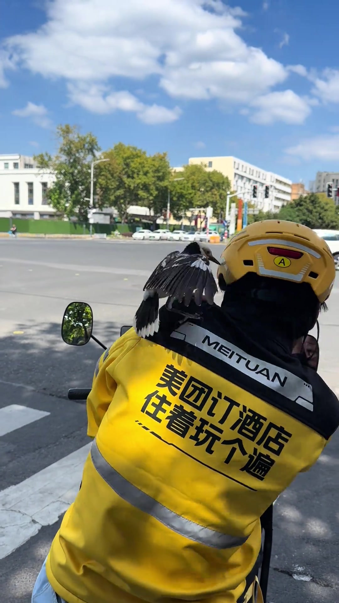 鸟：我外卖呢我外卖呢