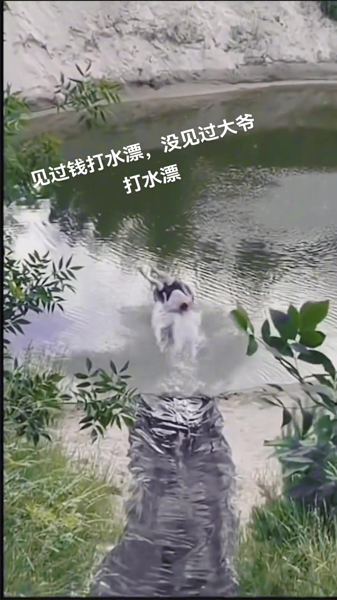太会玩了！见过钱打水漂的头一回见过大爷打水漂