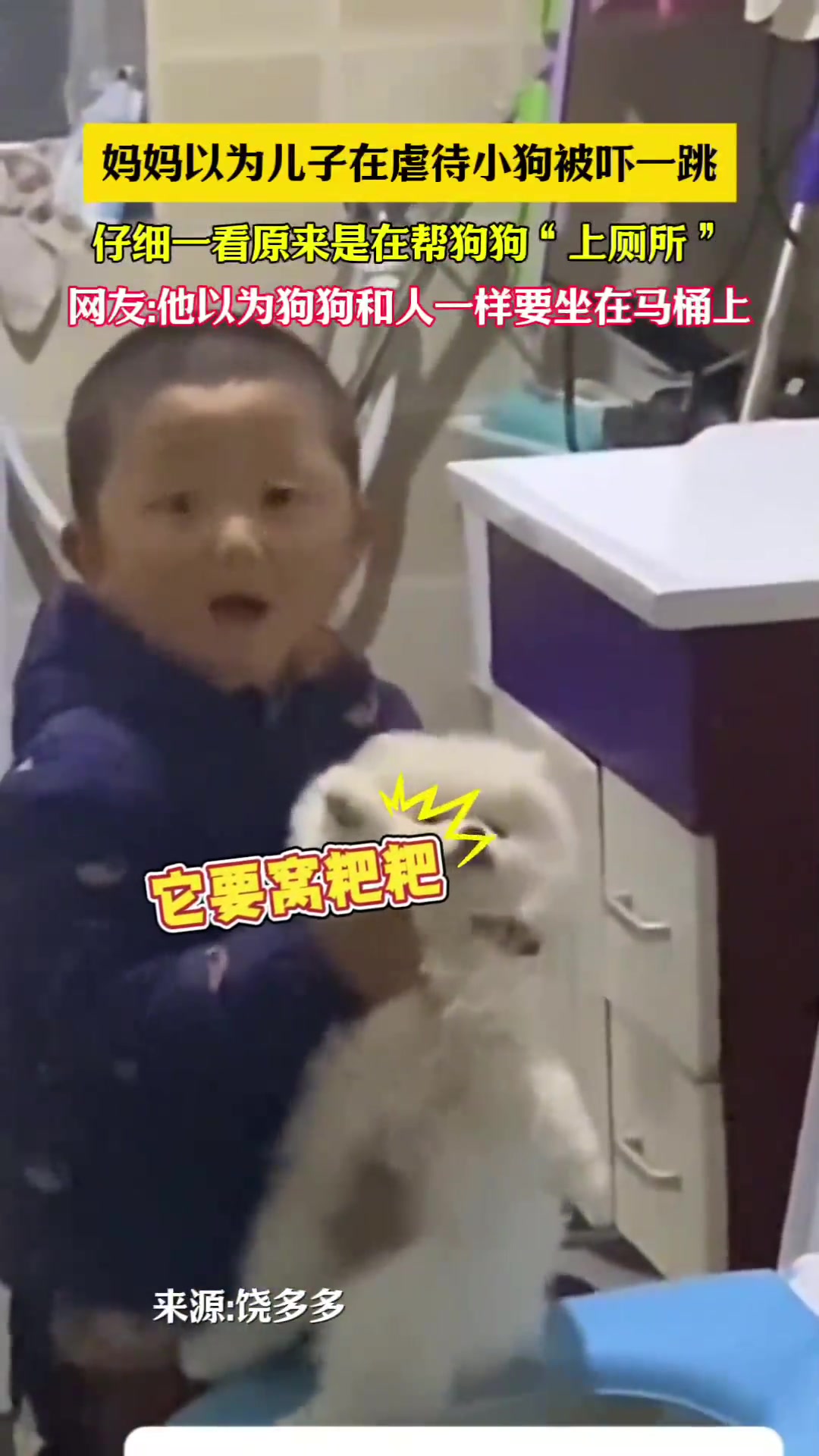 妈妈以为儿子在虐待小狗，仔细一看原来是在帮狗狗上厕所