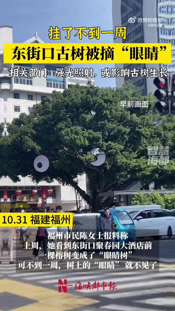 被摘“眼睛”！挂了不到一周，福州东街口古树眼睛就被摘了！