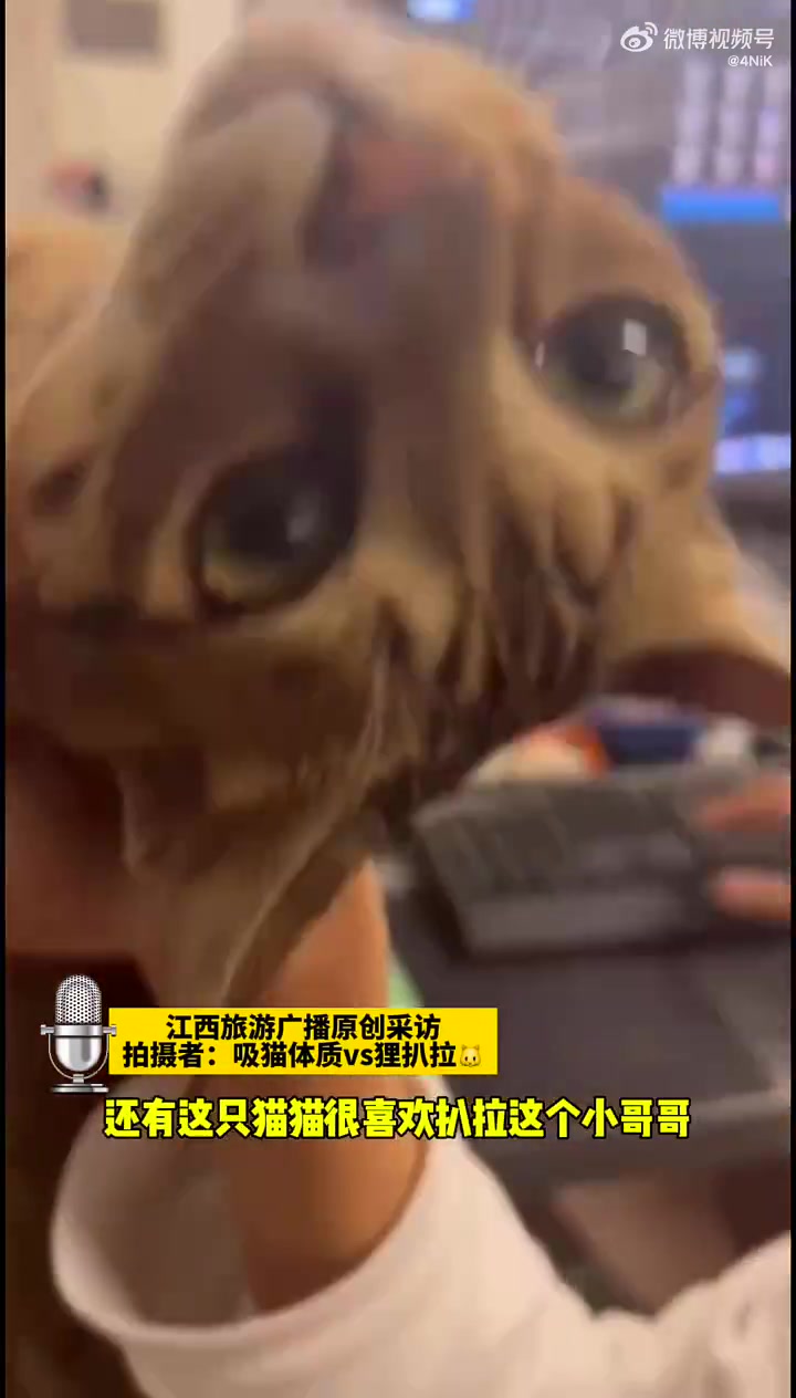 被狠狠地握住命运的咽喉！