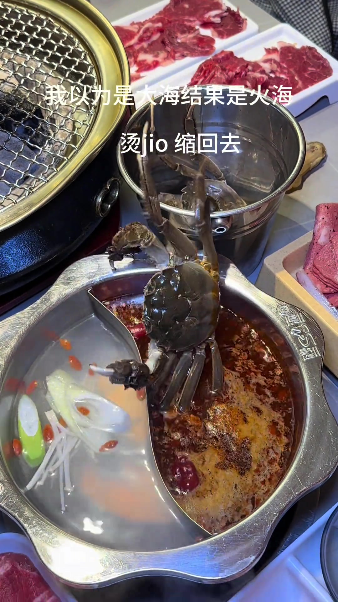 一只充满智慧的大闸蟹