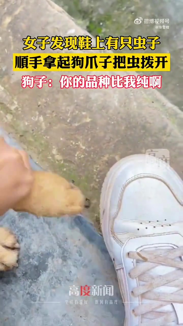 女子发现鞋上有只虫子，順手拿起狗爪子把虫拨开