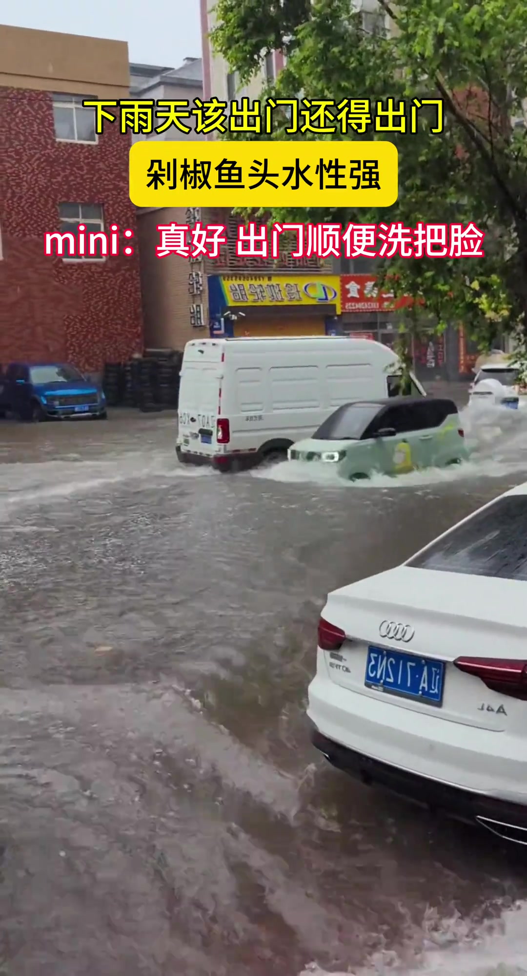 下雨天该出门还得出门剁椒鱼头水性强