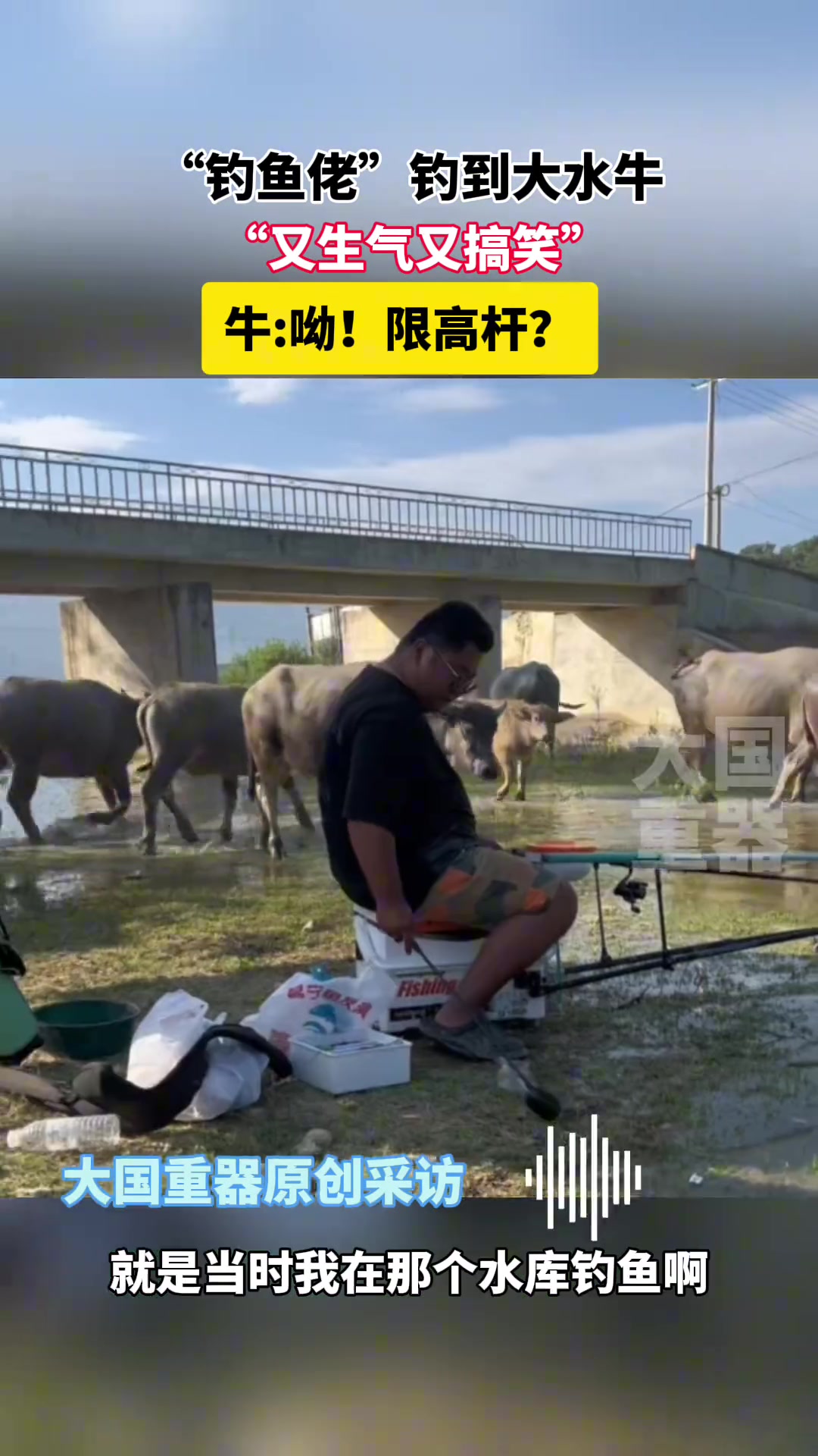 钓鱼佬又钓到大水牛