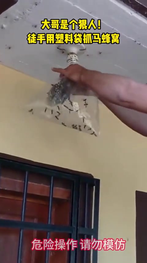 大哥是个狠人徒手用塑料袋抓马峰