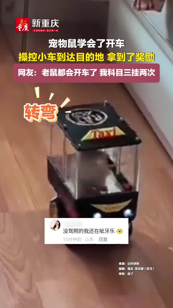 宠物鼠学会了开车，操控小车到达目的地，拿到了奖励