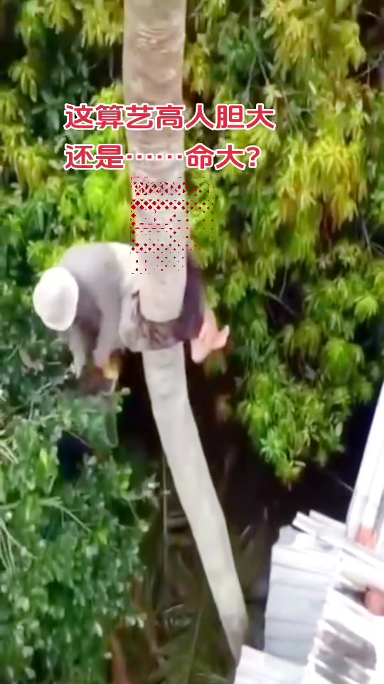 原来动画片没骗人
