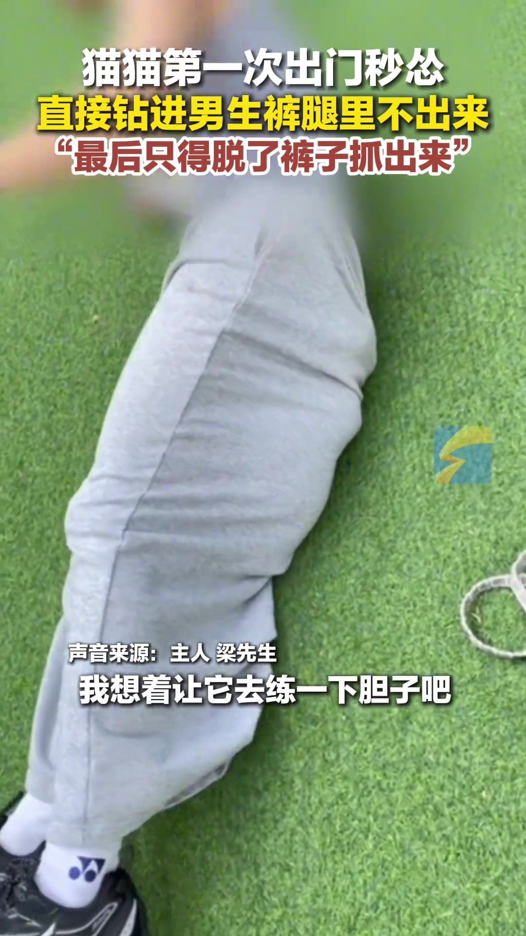 小猫第一次太怂，钻到男生裤筒里不出来，最后只得脱了裤子揪出来