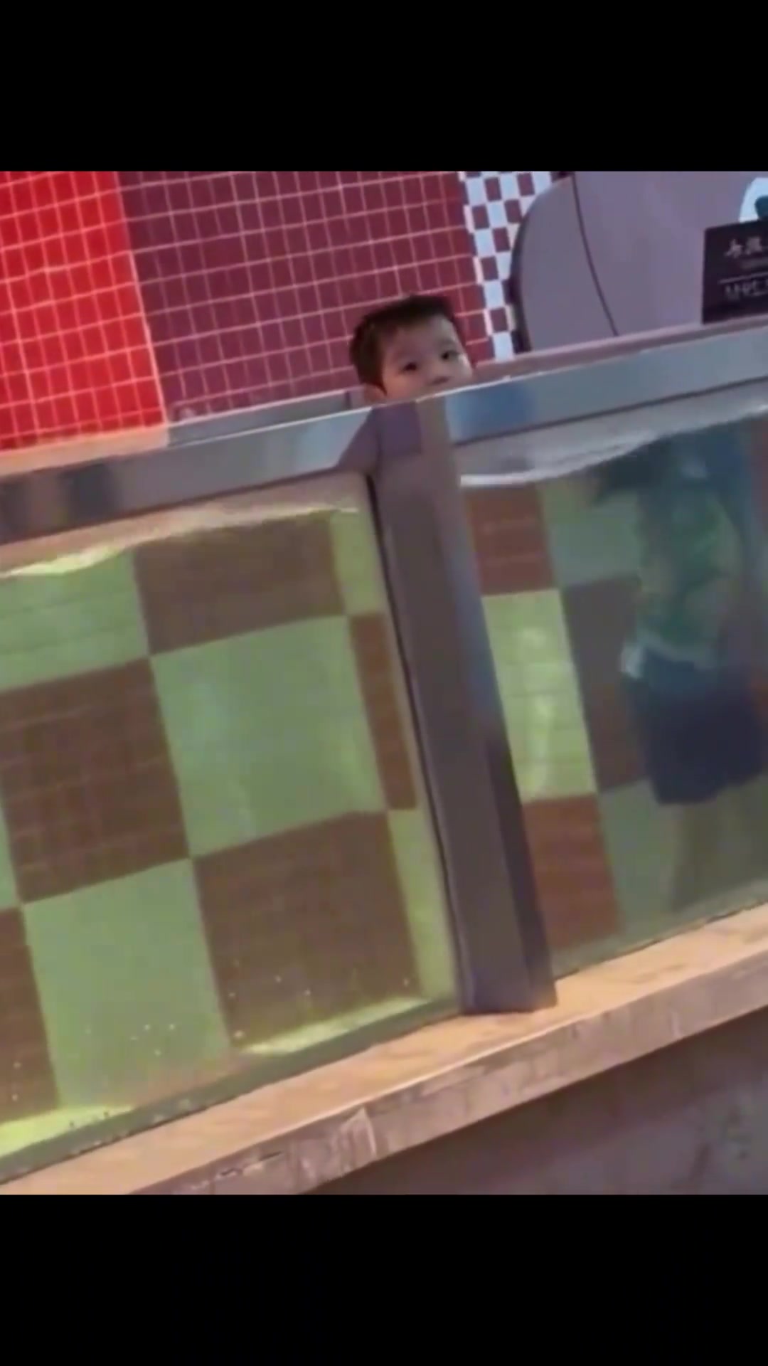 水调割头人类幼崽视频仅限于娱乐