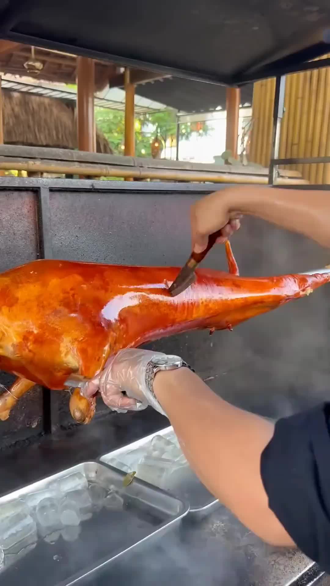 爆汁的烤猪滴着油嘴馋呐！！！！