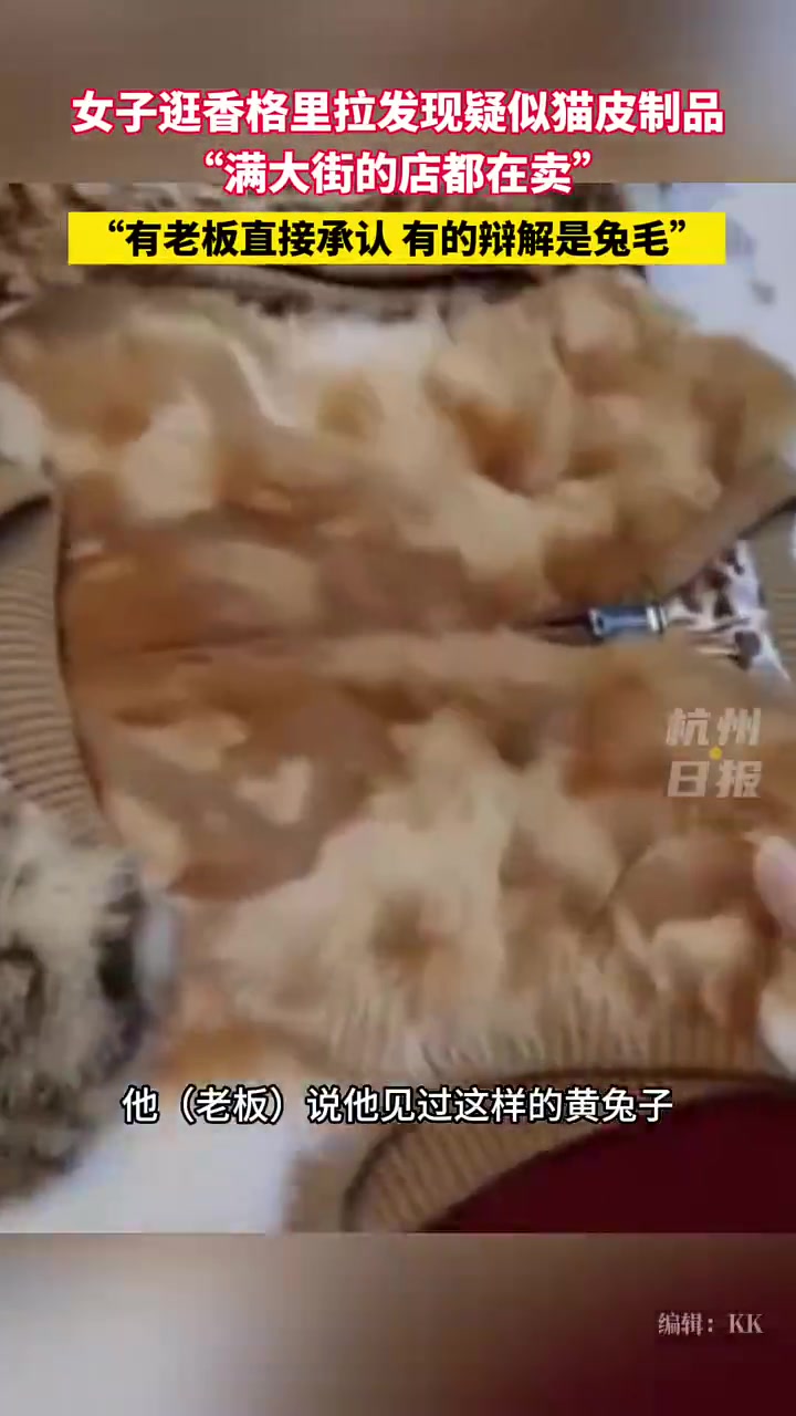 女子逛香格里拉发现满街猫皮制品：有的店辩解兔毛，有的直接承认