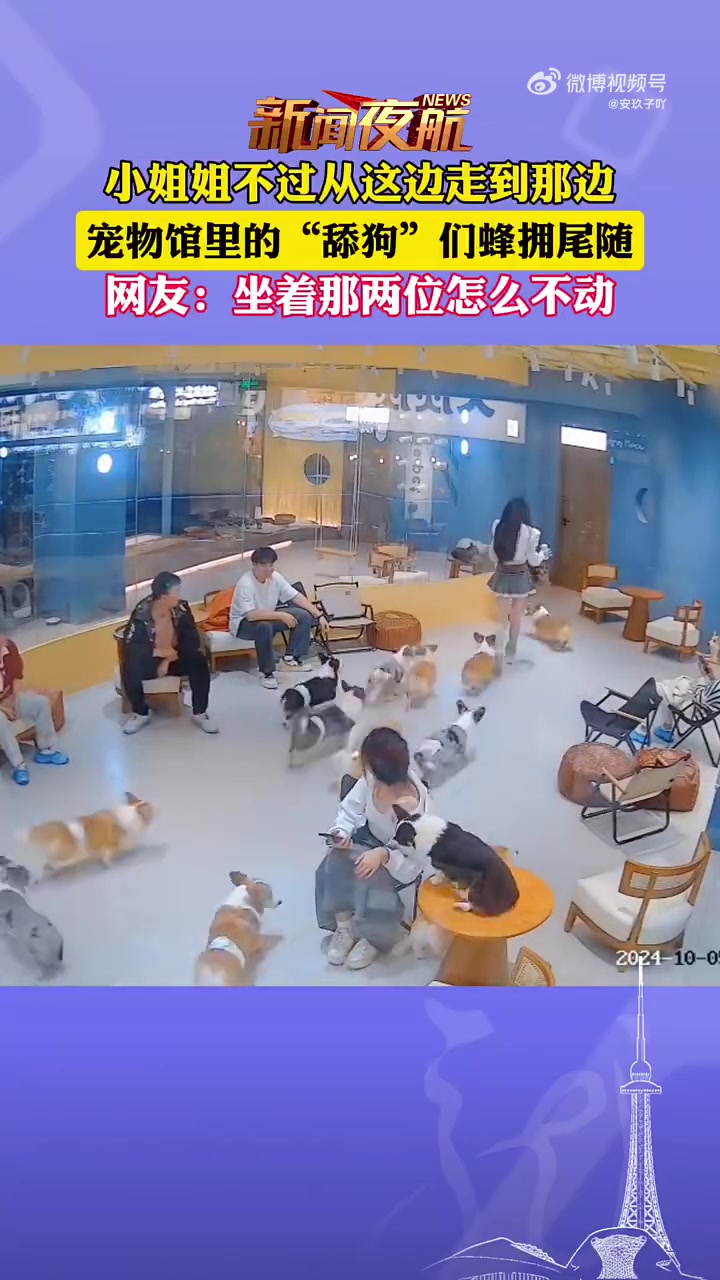 小姐姐被“舔狗”们尾随了，网友：坐着那俩怎么不动