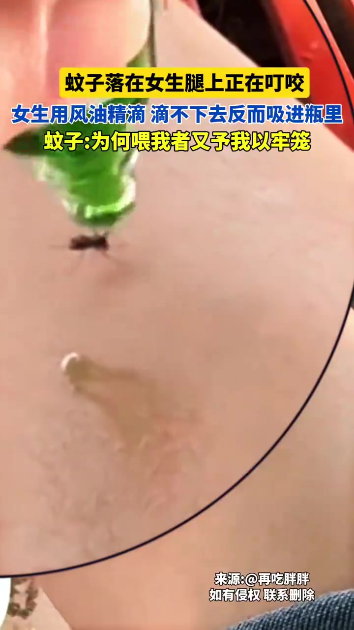绝绝子！被银角大王暴风吸入了！