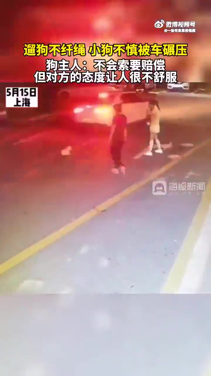 小狗因未牵绳遭汽车碾压，车主并未下车查看直接开走