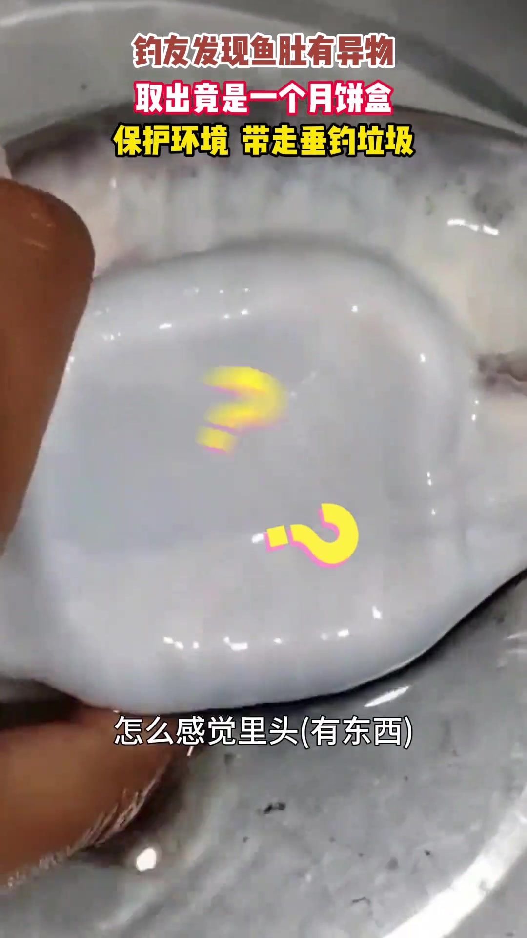 钓友发现鱼肚有异物取出一个月饼盒