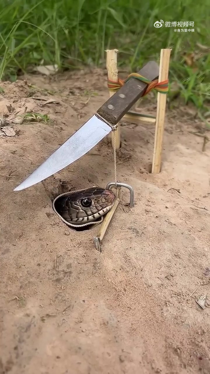 使用刀子制作简单的DIY大蛇陷阱