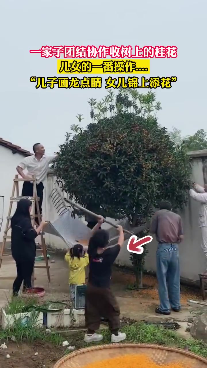 卧龙凤雏！儿子画龙点睛，女儿锦上添花！