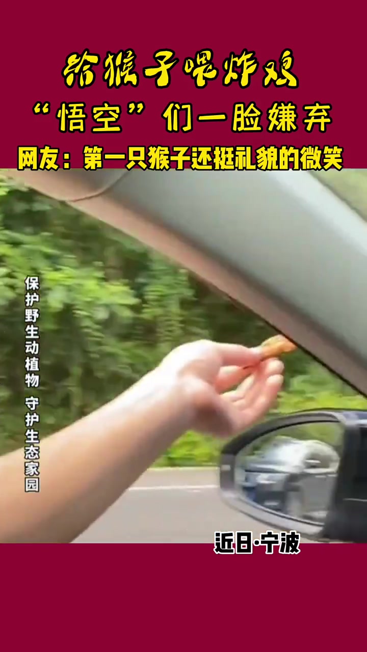 给猴子喂炸鸡，猴子一脸嫌弃