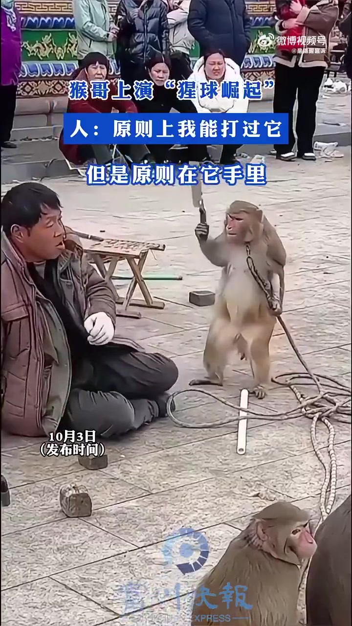 这种“耍猴戏”感觉已经是在小时候才能看到的东西了