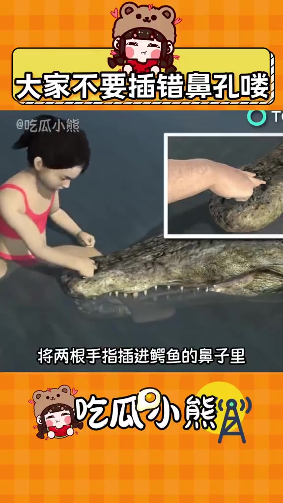 大家要是碰到这种情形，可千万别插错了鳄鱼的鼻孔哦