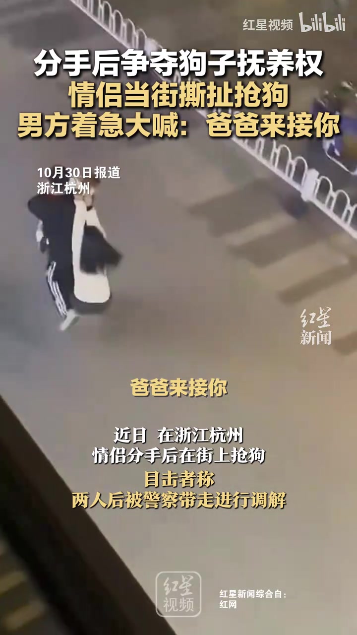 分手后情侣争夺狗子抚养权当街抢狗，男方大喊：爸爸来接你