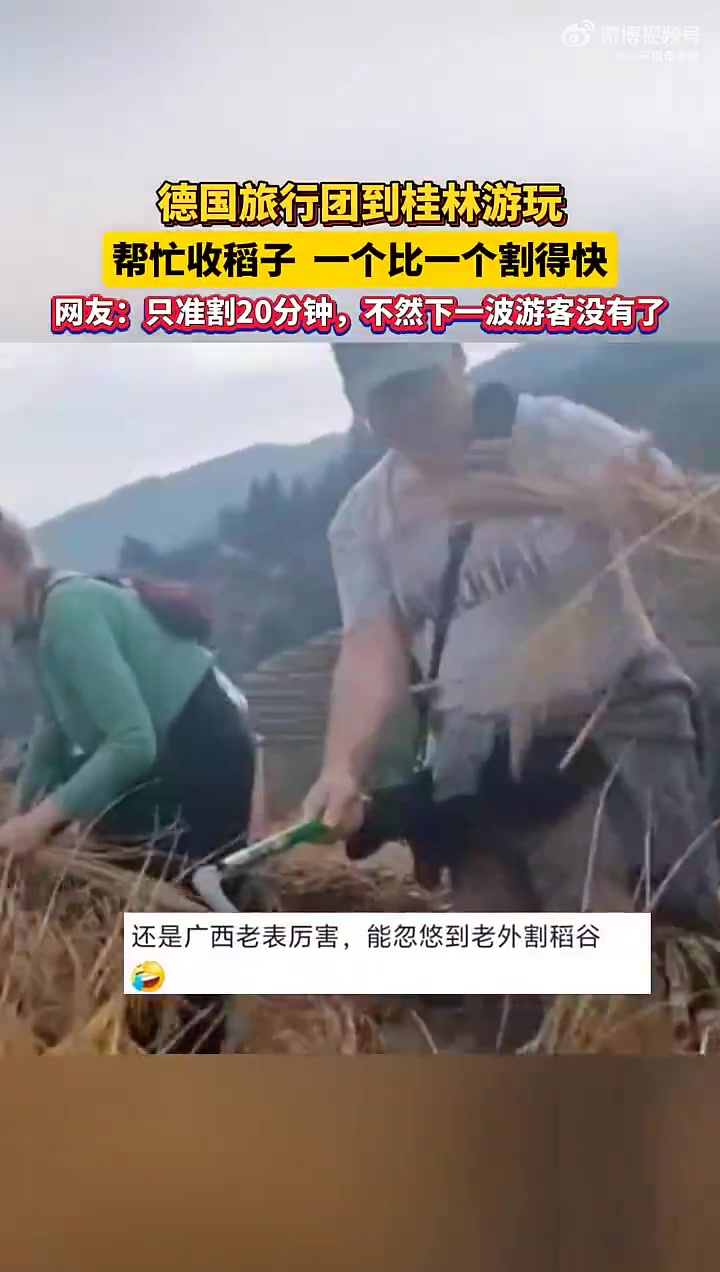 德国旅行团游玩帮忙收稻子，交一次钱只准割20分钟！