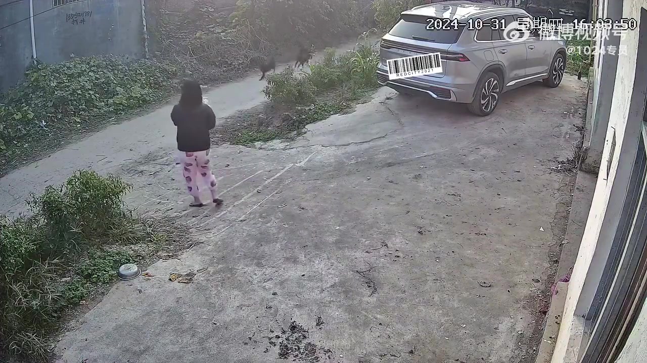 但凡是小孩子一个人，绝对完蛋