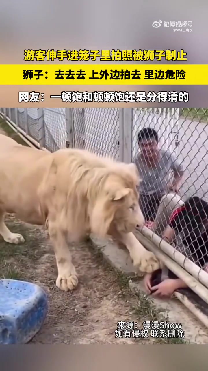 狮子：使不得使不得，你再这样勾引我要忍不住了
