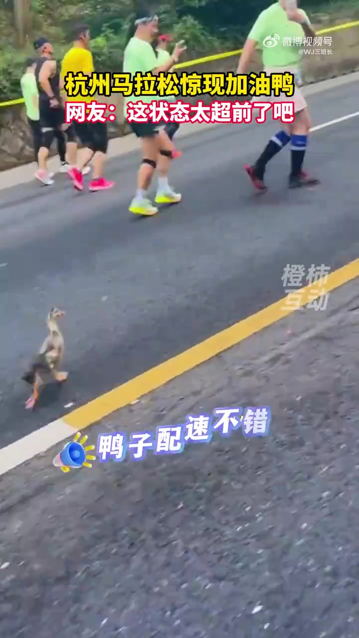这鸭子配速不错，跑马拉松比我整的快