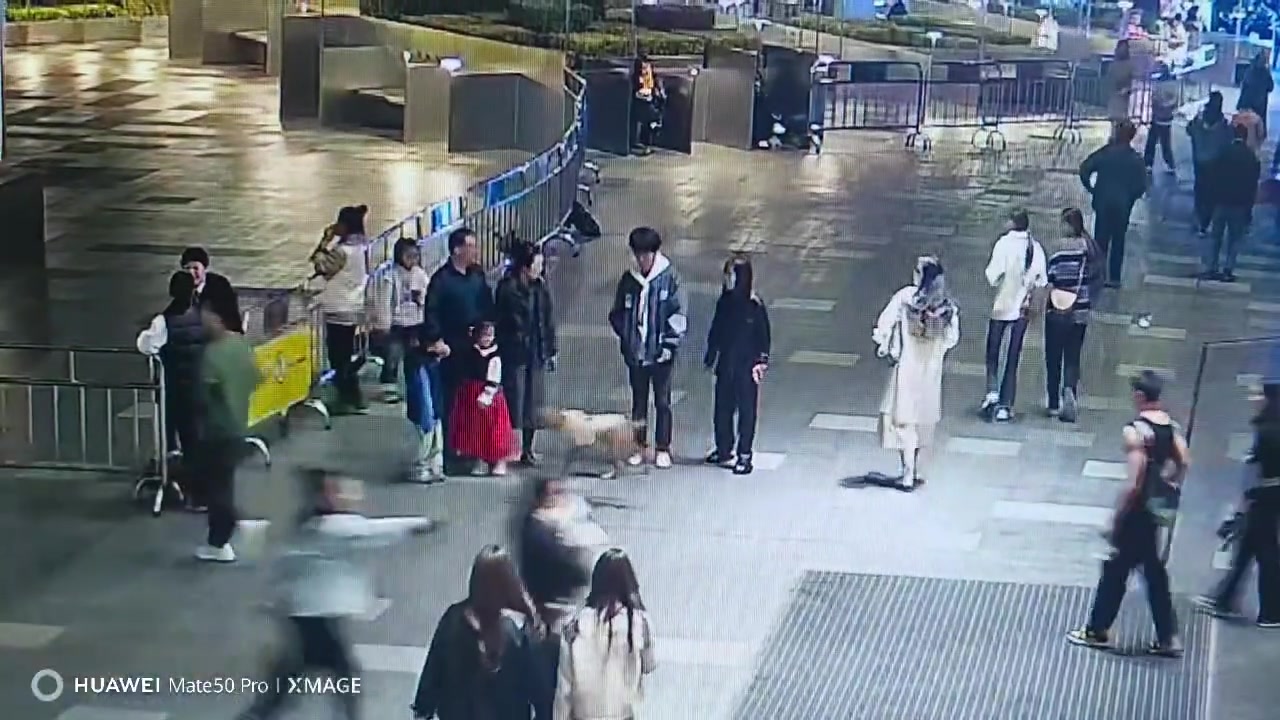 这狗无缘无故上来咬人！而且看样子狗主人好像还不服气啊