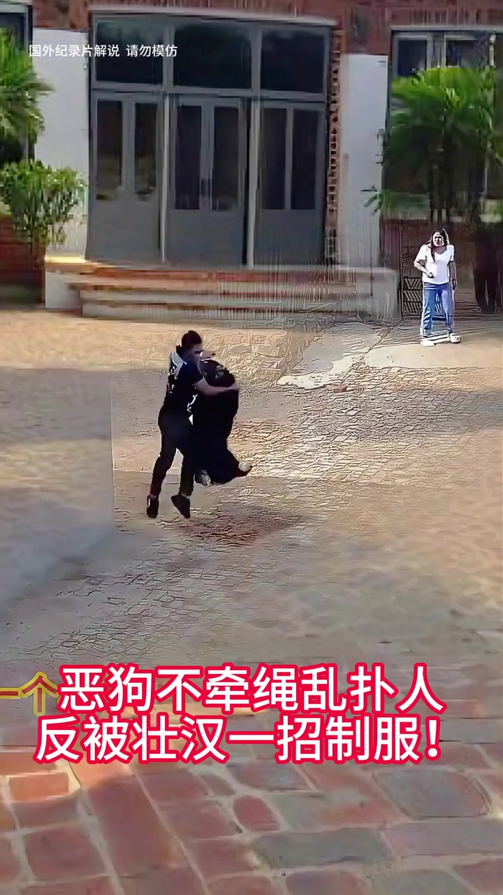 恶狗发狂乱扑人，反被大哥一招制服！